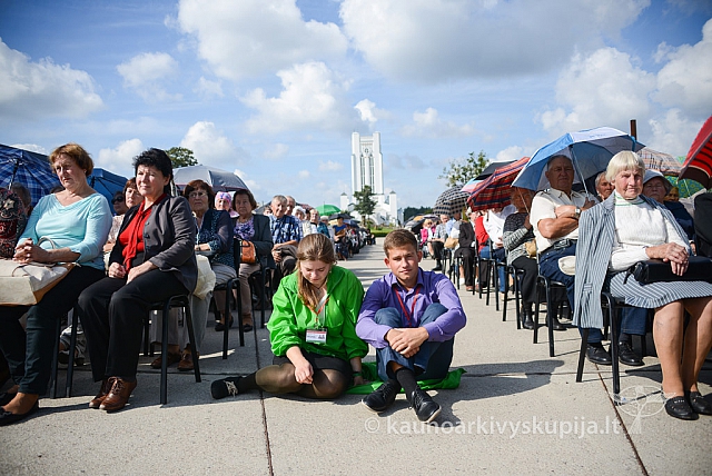 20140910 silines 1146 ms