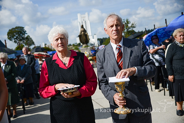 20140910 silines 1151 ms