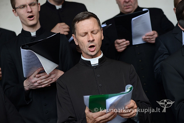 20140910 silines 1219 ms