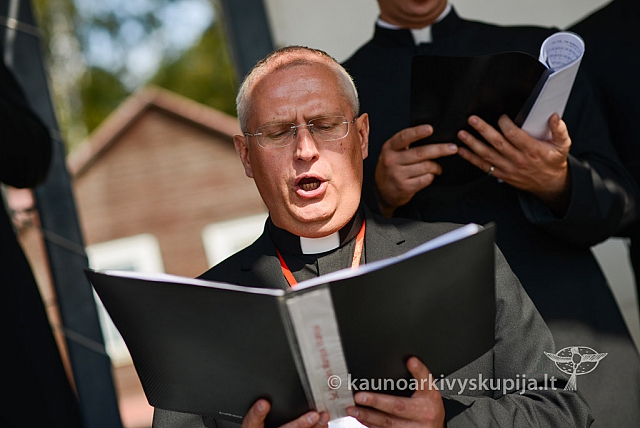 20140910 silines 1226 ms