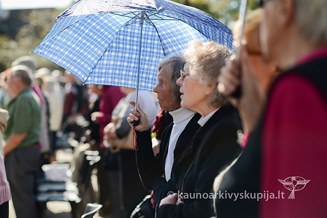 20140910 silines 1227 ms