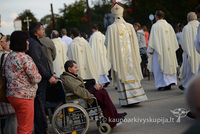 20140910 silines 1316 ms