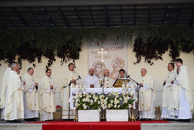 20140910 silines 1332 ms