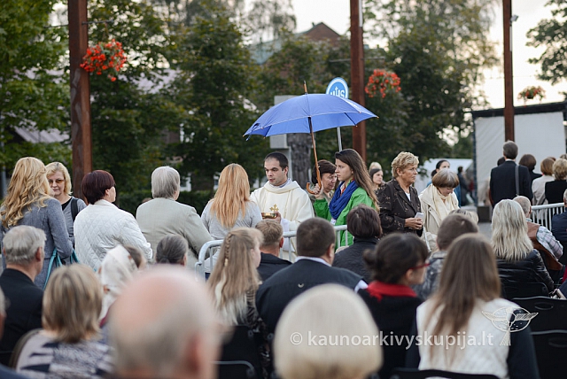 20140910 silines 1341 ms