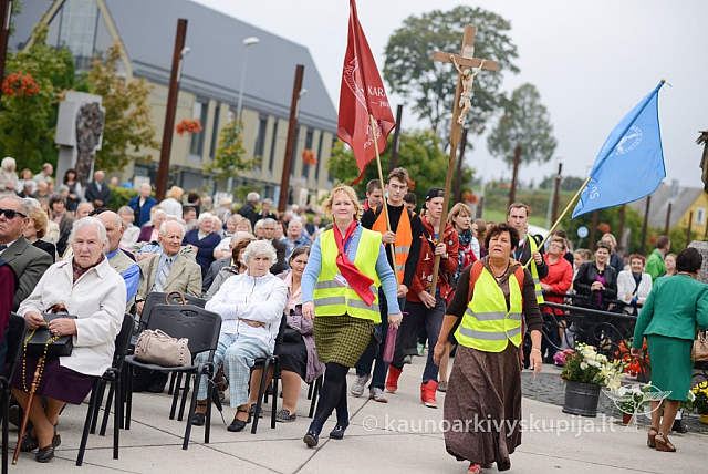 20140911 silines 1370 ms