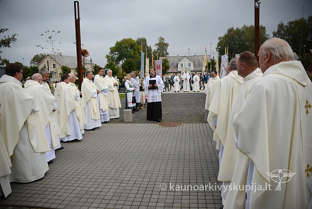 20140911 silines 1382 ms