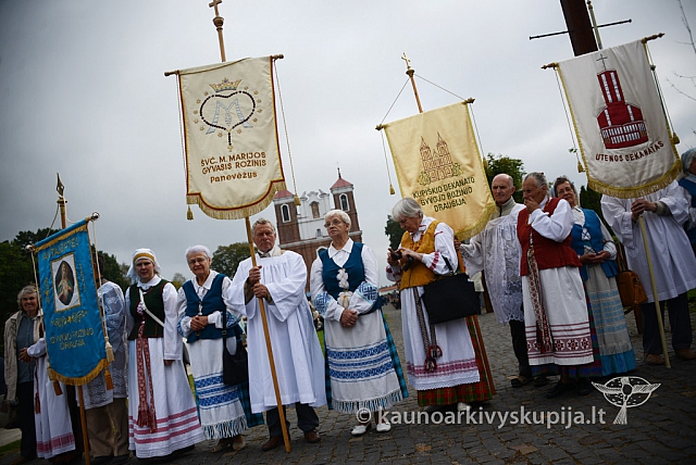 20140911 silines 1394 ms