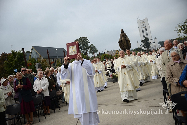 20140911 silines 1418 ms