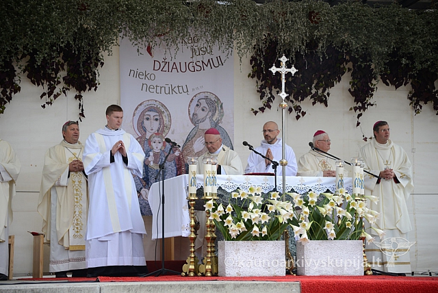 20140911 silines 1425 ms