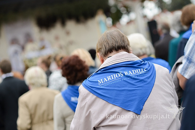 20140911 silines 1434 ms