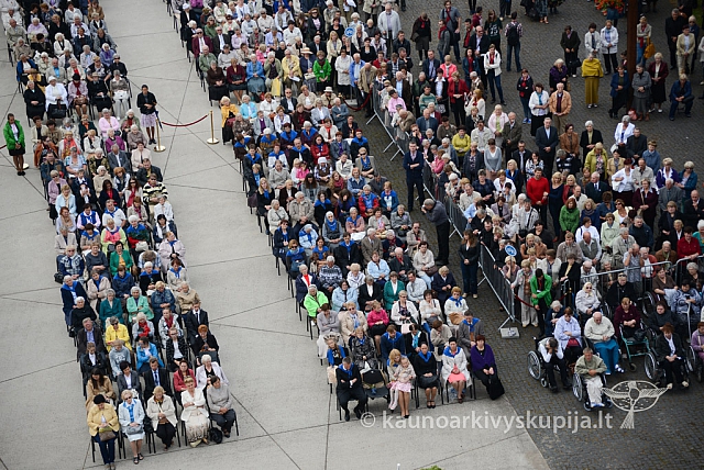 20140911 silines 1476 ms