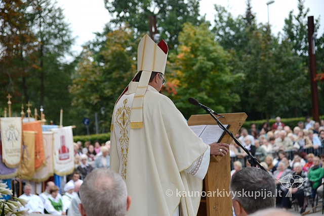 20140911 silines 1487 ms