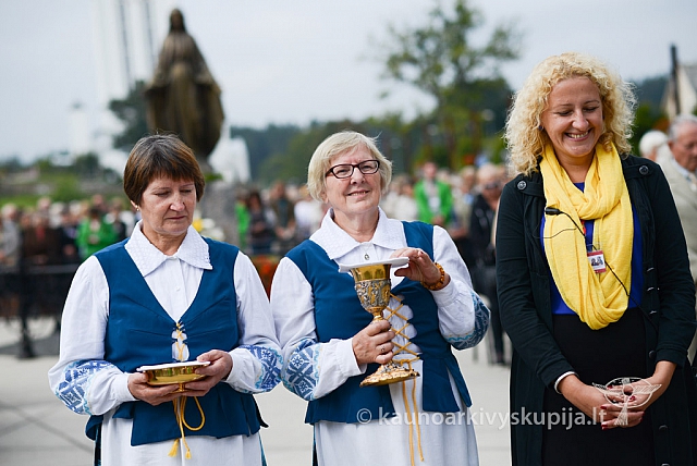 20140911 silines 1499 ms