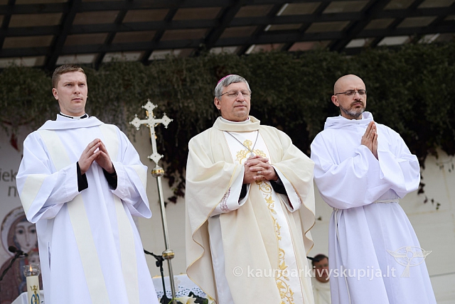 20140911 silines 1504 ms