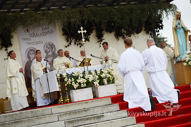 20140911 silines 1513 ms