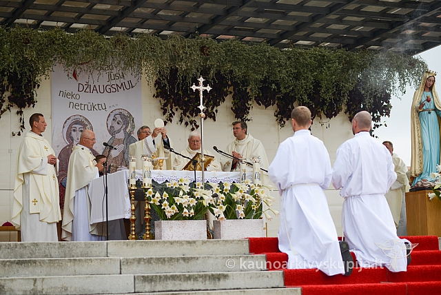 20140911 silines 1519 ms