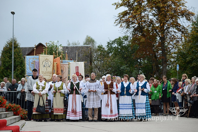 20140911 silines 1527 ms