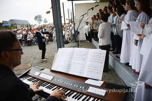 20140911 silines 1556 ms