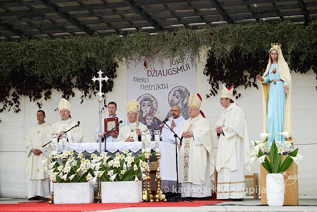 20140911 silines 1591 ms