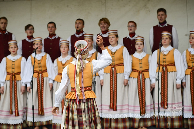 20140911 silines 1607 ms