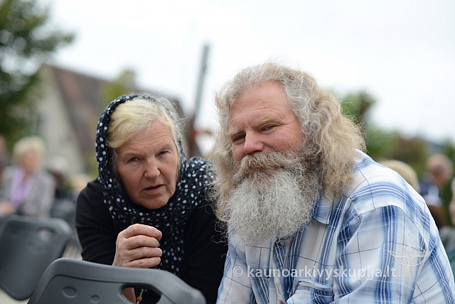 20140911 silines 1618 ms