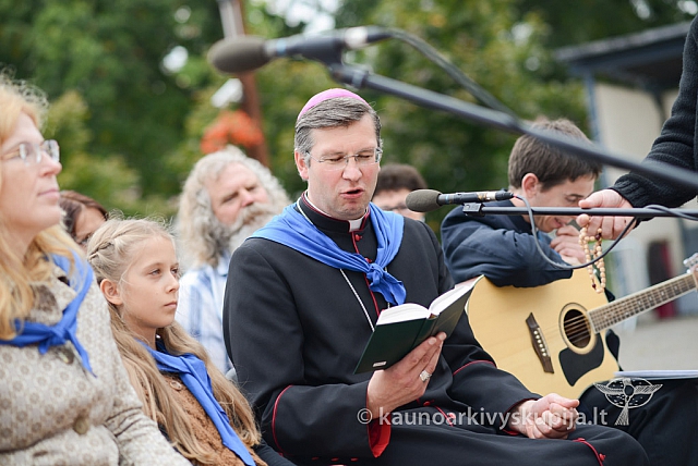 20140911 silines 1635 ms