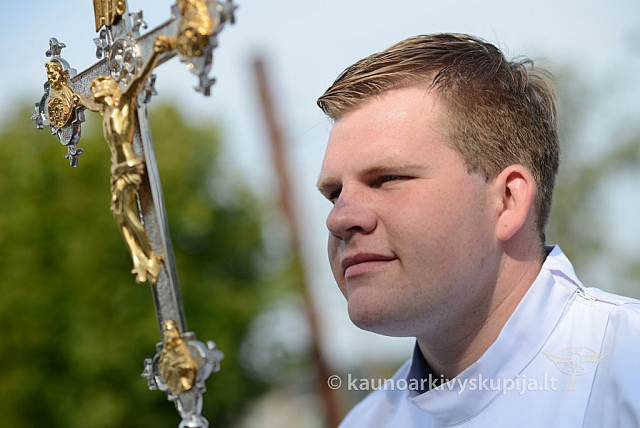 20140912 silines 1948 ms