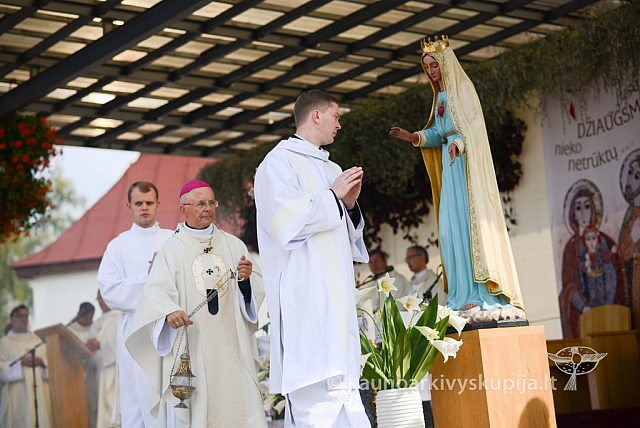 20140912 silines 1971 ms