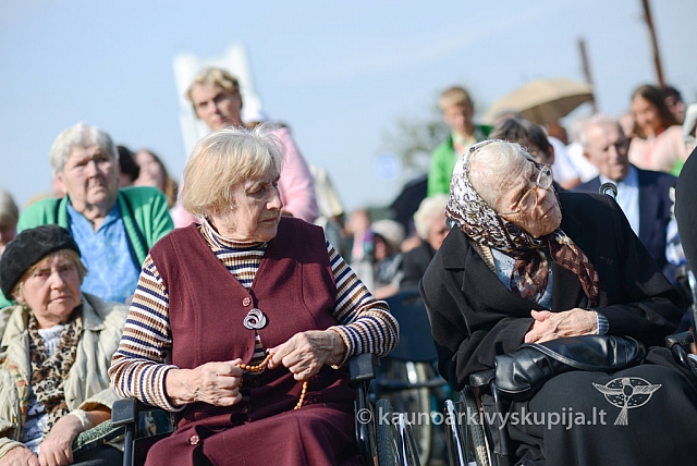 20140912 silines 1981 ms