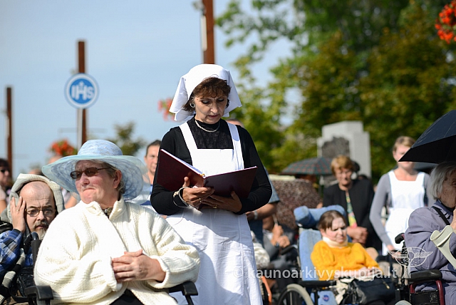 20140912 silines 1983 ms