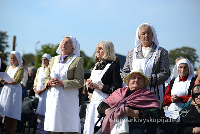 20140912 silines 1984 ms