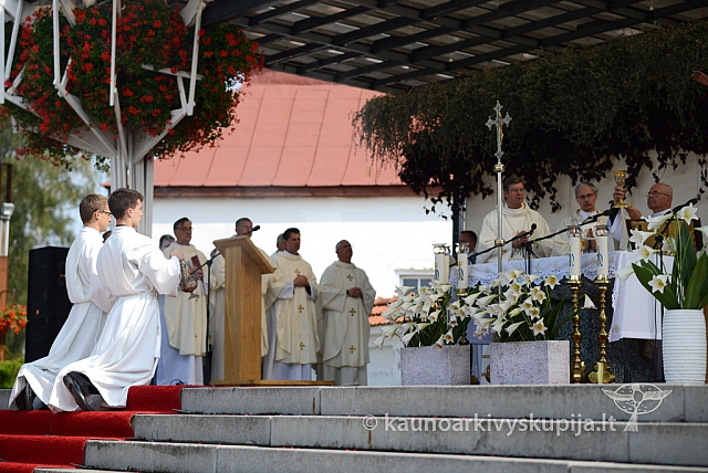 20140912 silines 2032 ms