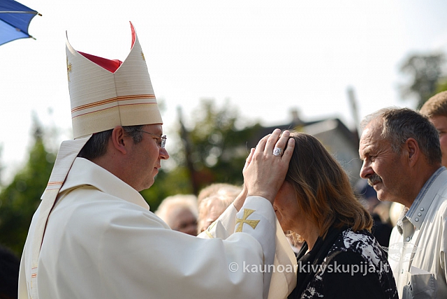 20140912 silines 2045 ms