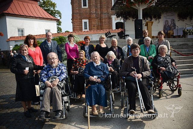 20140912 silines 2062 ms