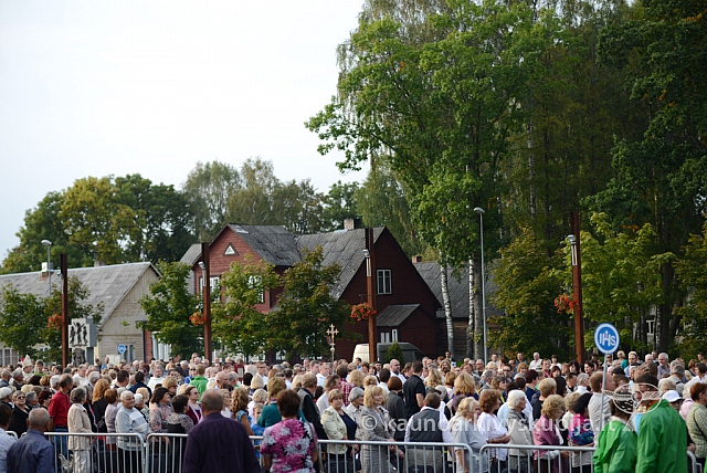 20140912 silines 2076 ms