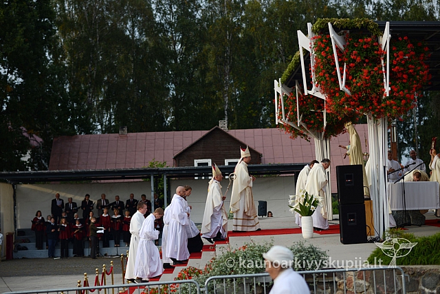 20140912 silines 2085 ms