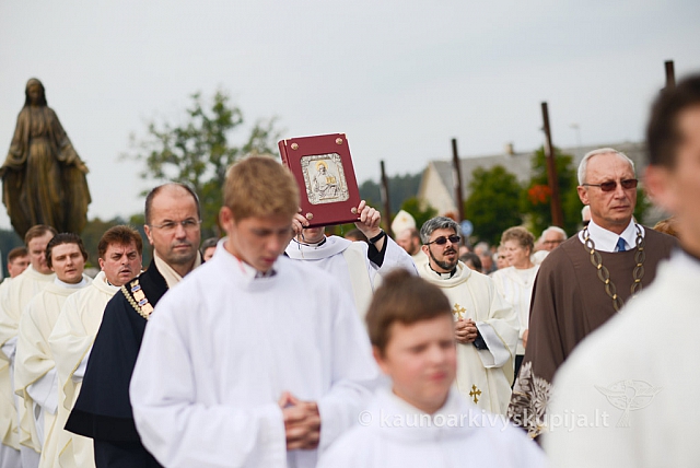 20140913 silines 2146 ms