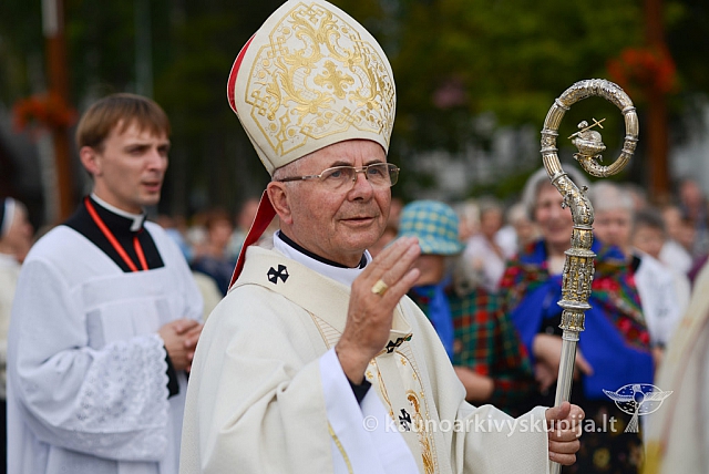 20140913 silines 2153 ms