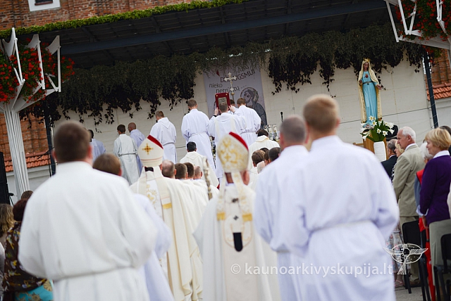 20140913 silines 2159 ms