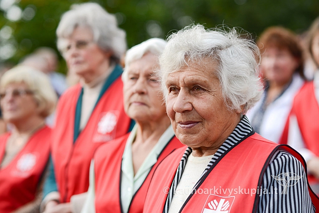 20140913 silines 2169 ms