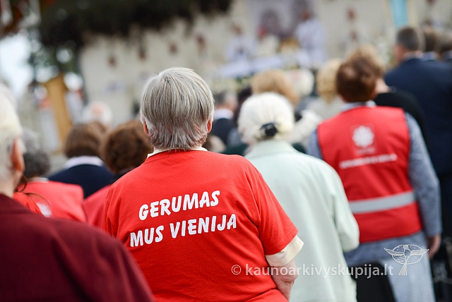 20140913 silines 2174 ms