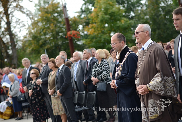 20140913 silines 2179 ms