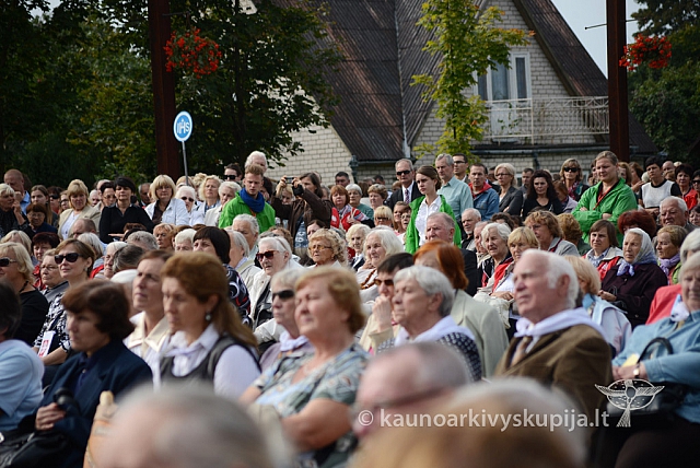 20140913 silines 2194 ms