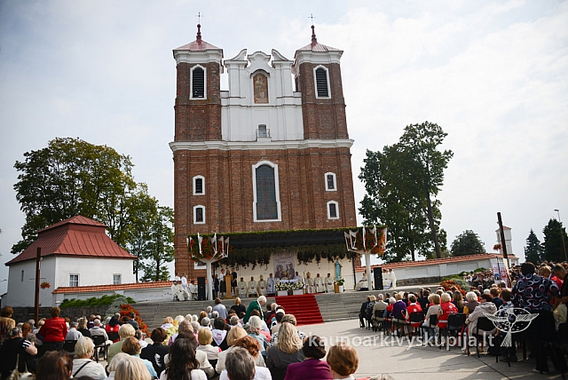 20140913 silines 2205 ms