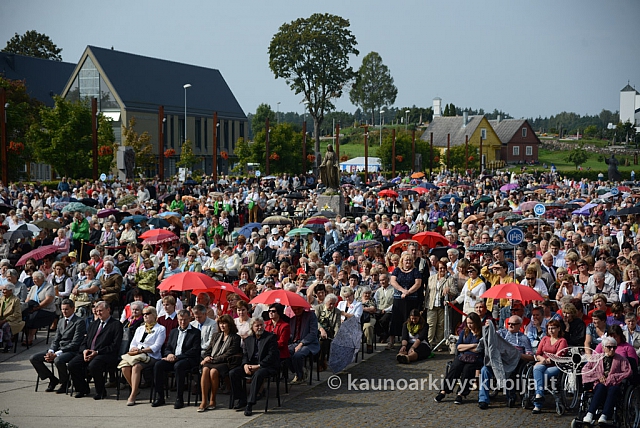 20140913 silines 2219 ms