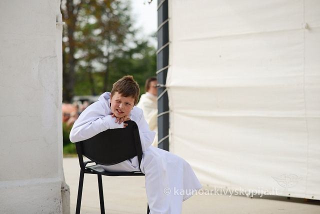 20140913 silines 2233 ms