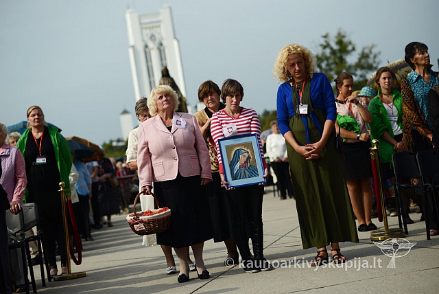 20140913 silines 2253 ms