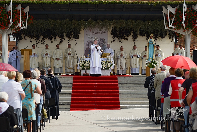 20140913 silines 2271 ms