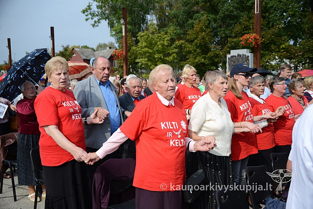 20140913 silines 2283 ms