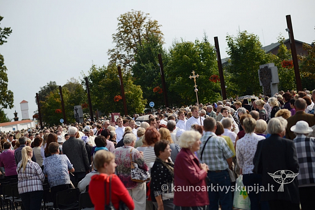 20140913 silines 2313 ms